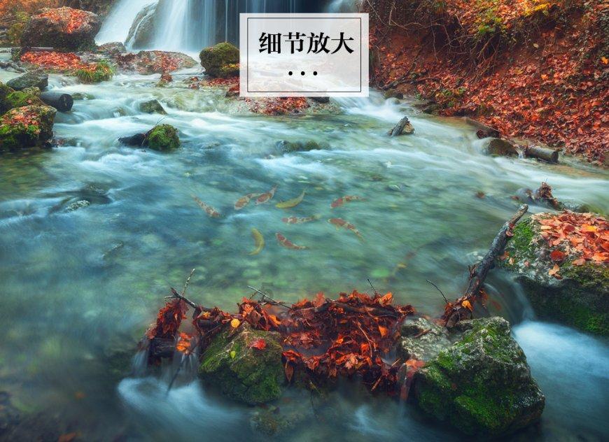 接住泼天富贵的陈楚生、张远、陆虎感慨工作节奏快,身体扛不住了